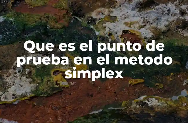 Que es el Punto de Prueba en el Metodo Simplex