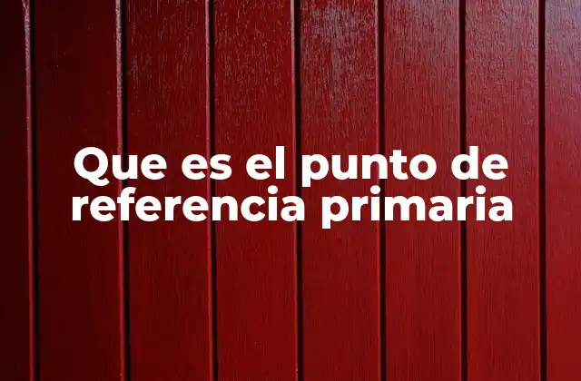 Que es el Punto de Referencia Primaria