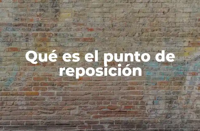Qué es el Punto de Reposición