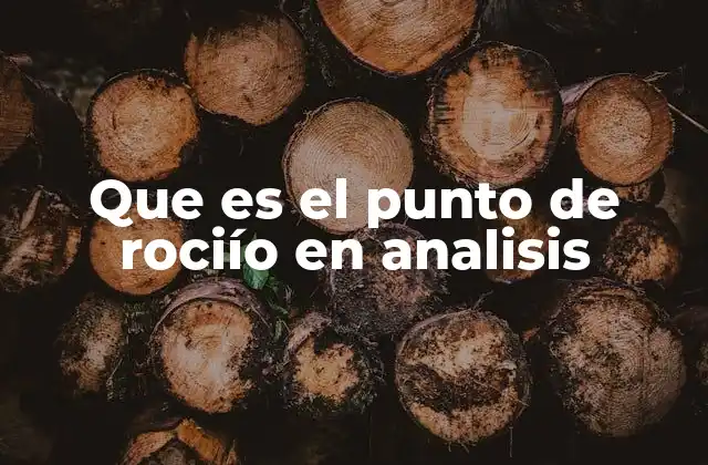 Que es el Punto de Rociío en Analisis