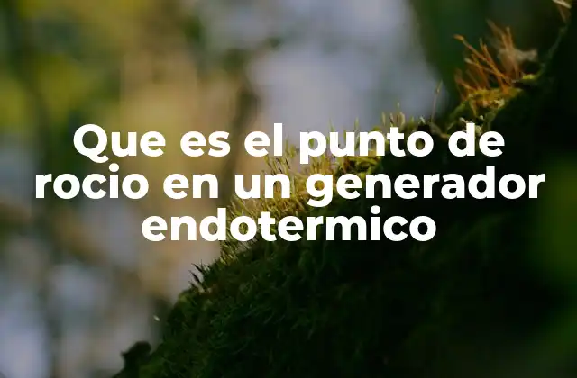 Que es el Punto de Rocio en un Generador Endotermico