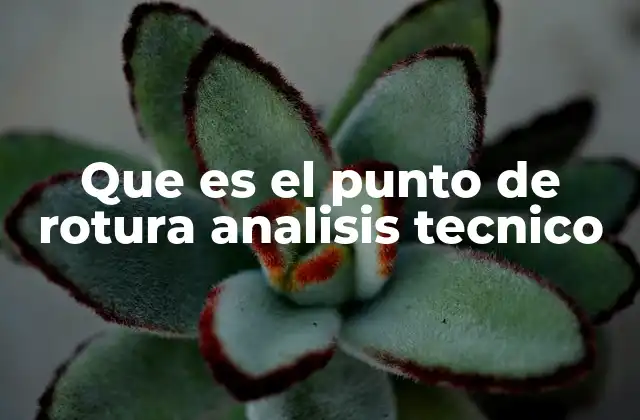 Que es el Punto de Rotura Analisis Tecnico