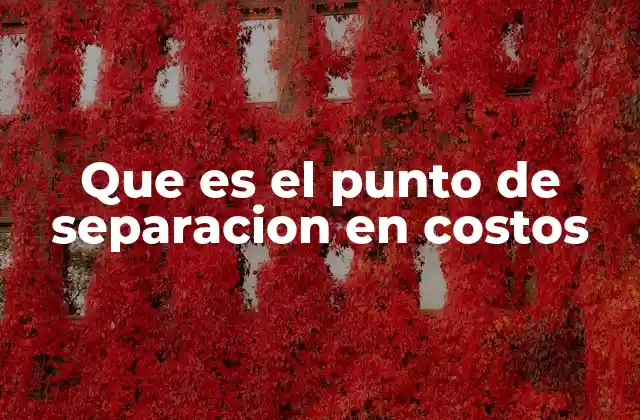 La importancia del punto de separación en la gestión financiera