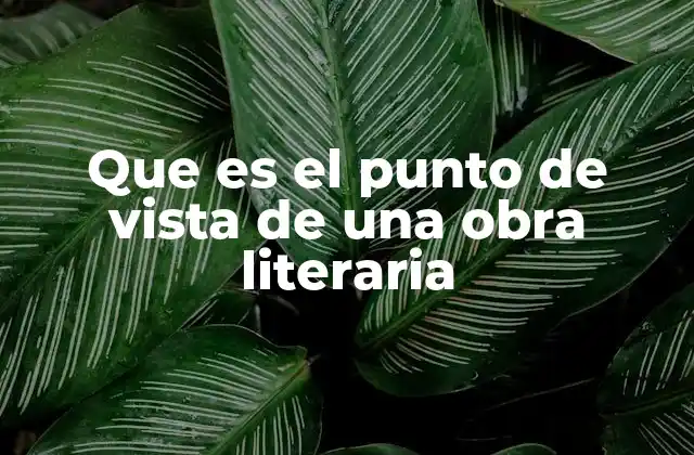 Que es el Punto de Vista de una Obra Literaria