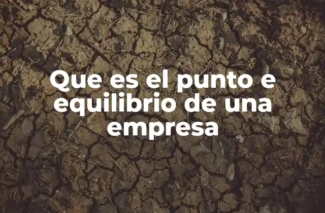 Que es el Punto e Equilibrio de una Empresa