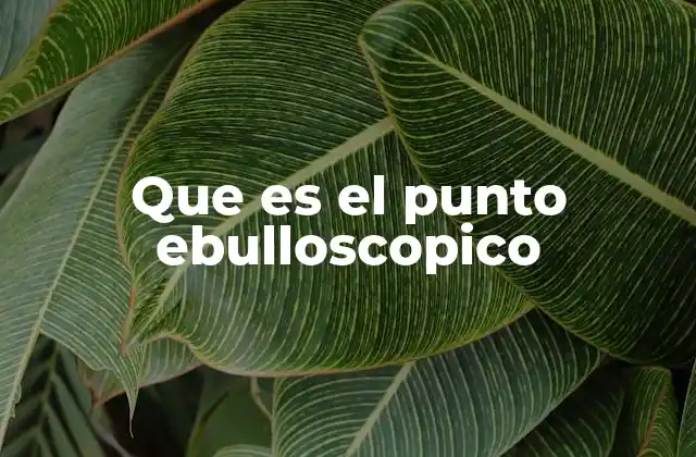 Que es el Punto Ebulloscopico