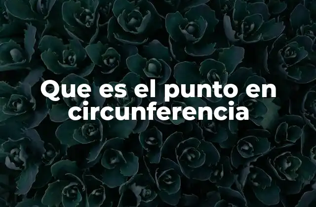 Que es el Punto en Circunferencia