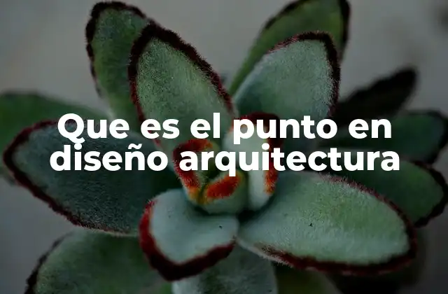 Que es el Punto en Diseño Arquitectura