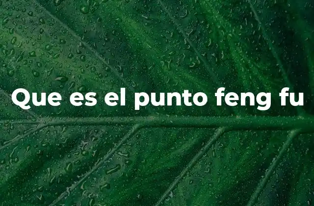 Que es el Punto Feng Fu
