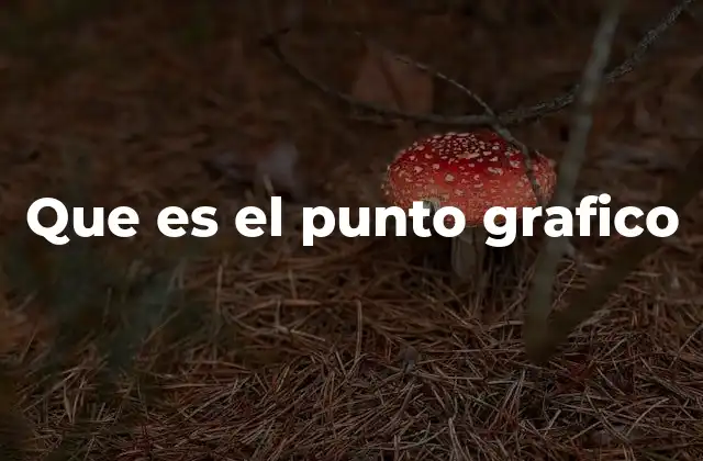 Que es el Punto Grafico