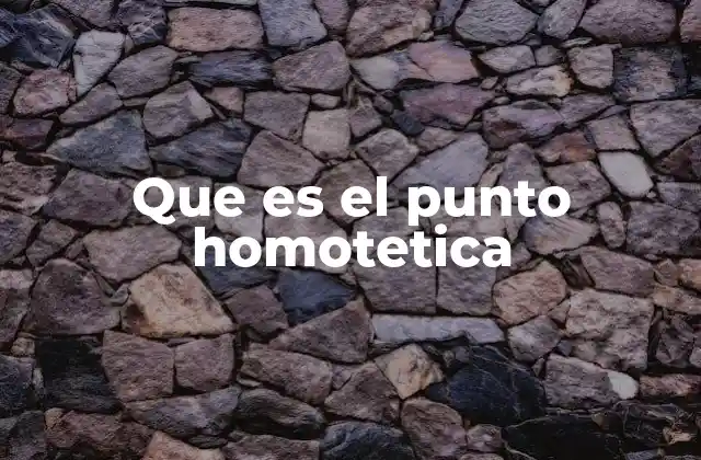 Que es el Punto Homotetica