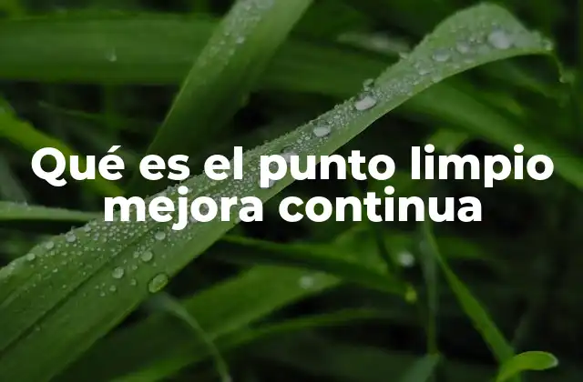 Qué es el Punto Limpio Mejora Continua