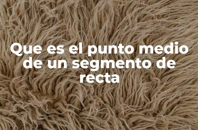 Que es el Punto Medio de un Segmento de Recta