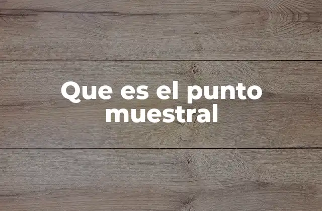 Que es el Punto Muestral