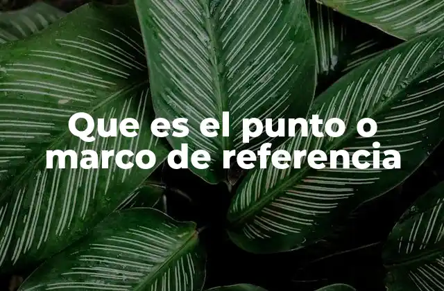 Que es el Punto o Marco de Referencia