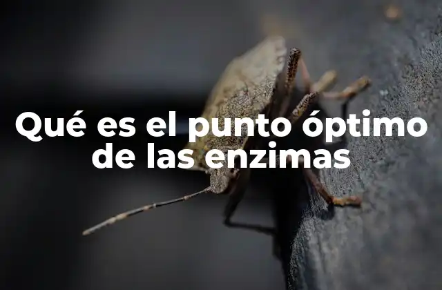 Qué es el Punto Óptimo de las Enzimas