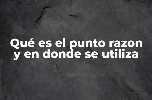 Qué es el Punto Razon y en Donde Se Utiliza