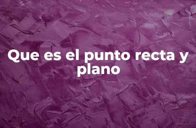 Que es el Punto Recta y Plano