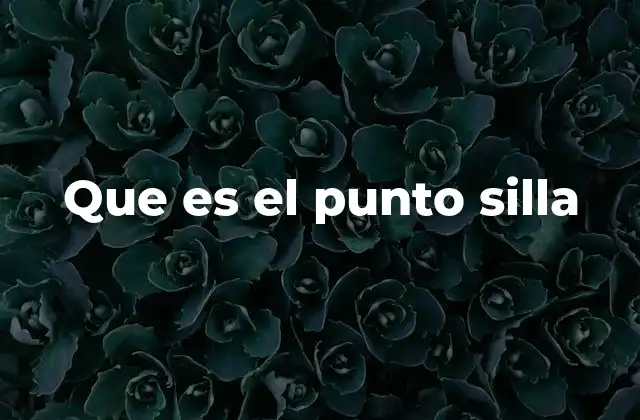 Que es el Punto Silla