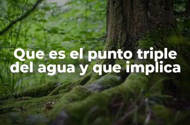 Que es el Punto Triple Del Agua y que Implica 2 El equilibrio termodinámico y el agua en estado triple