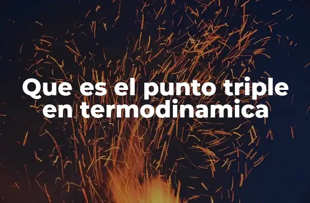 Que es el Punto Triple en Termodinamica