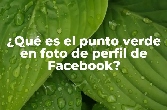 ¿qué es el Punto Verde en Foto de Perfil de Facebook?