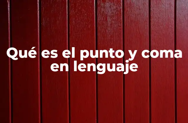 Qué es el Punto y Coma en Lenguaje