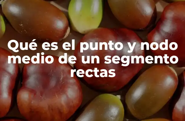 Qué es el Punto y Nodo Medio de un Segmento Rectas