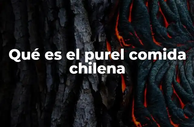 Qué es el Purel Comida Chilena