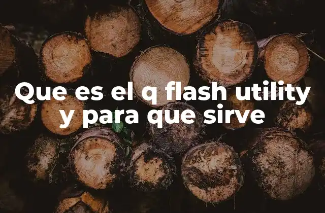 Que es el Q Flash Utility y para que Sirve