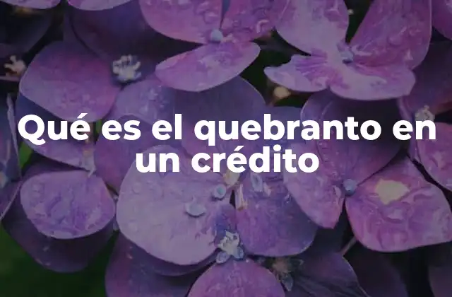 Qué es el Quebranto en un Crédito