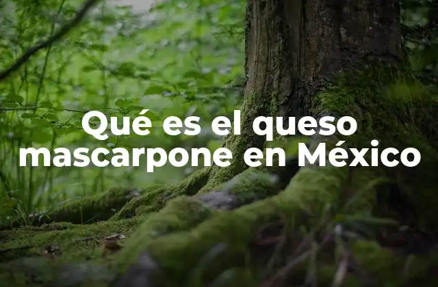 Qué es el Queso Mascarpone en México