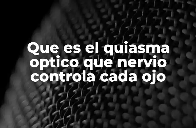 La función del quiasma óptico en la visión humana