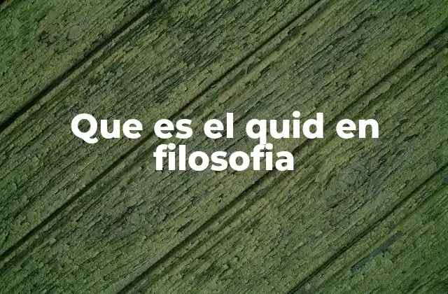 Que es el Quid en Filosofia