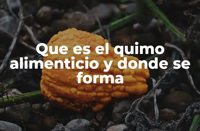 Que es el Quimo Alimenticio y Donde Se Forma 2 El papel del estómago en la formación del quimo alimenticio