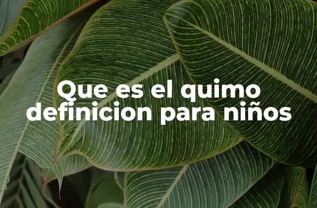 Cómo el cuerpo prepara el quimo