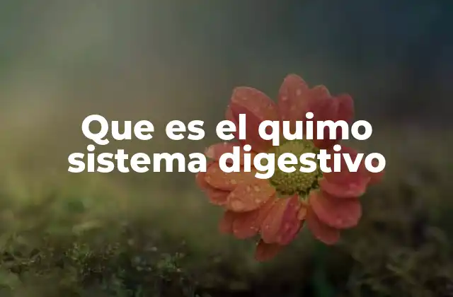 Que es el Quimo Sistema Digestivo