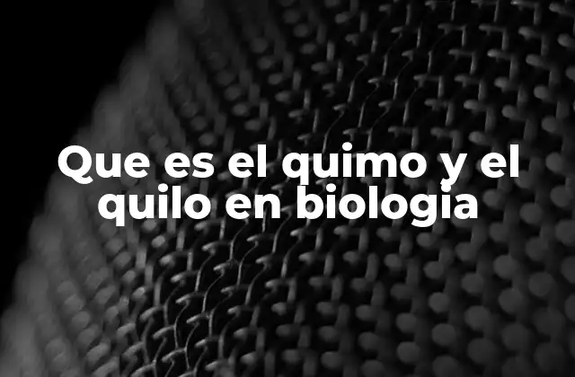 La importancia de los procesos digestivos en la formación del quimo y el quilo