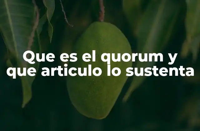 Que es el Quorum y que Articulo Lo Sustenta