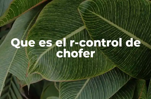 Que es el R-control de Chofer