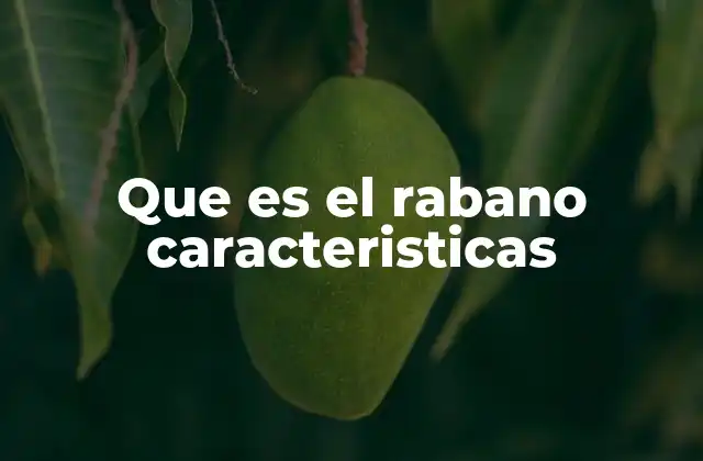 Características físicas y nutricionales del rabano