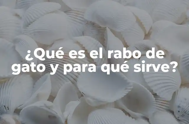¿qué es el Rabo de Gato y para Qué Sirve?