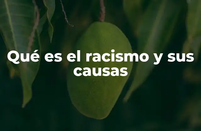 Qué es el Racismo y Sus Causas