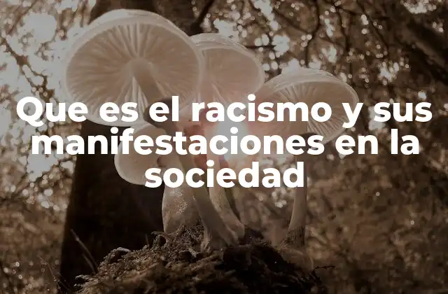 Que es el Racismo y Sus Manifestaciones en la Sociedad