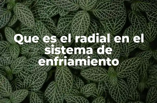 Que es el Radial en el Sistema de Enfriamiento