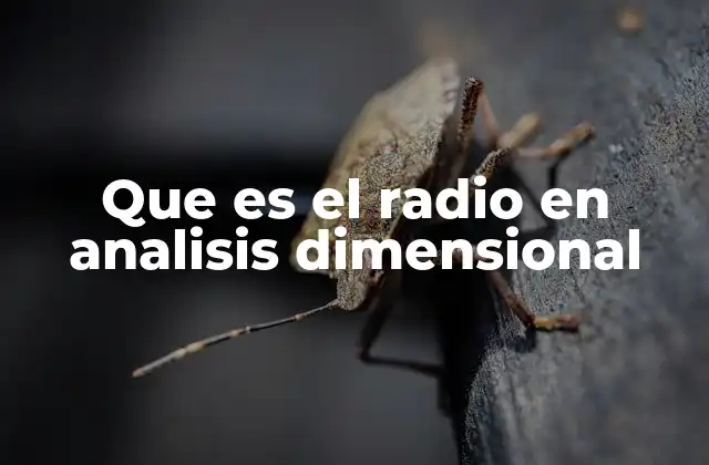 Que es el Radio en Analisis Dimensional