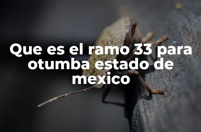 Que es el Ramo 33 para Otumba Estado de Mexico