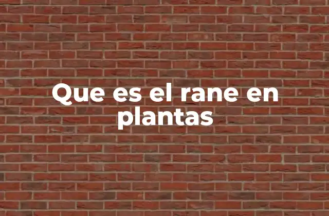 Que es el Rane en Plantas
