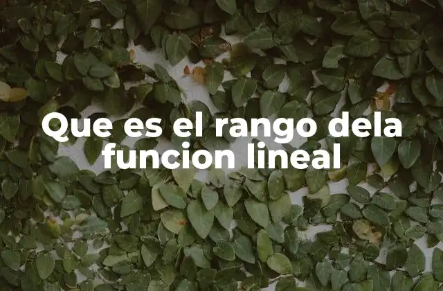 Que es el Rango Dela Funcion Lineal