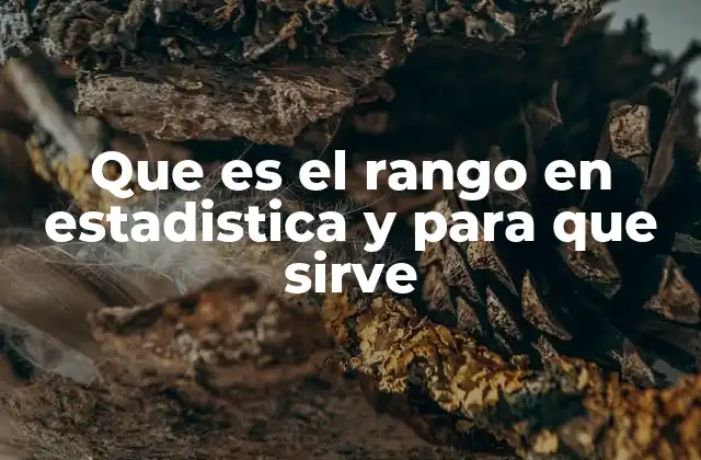 La importancia del rango en el análisis de datos